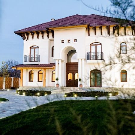Bed and Breakfast Conacul Olarilor Байя-де-Фьер Экстерьер фото