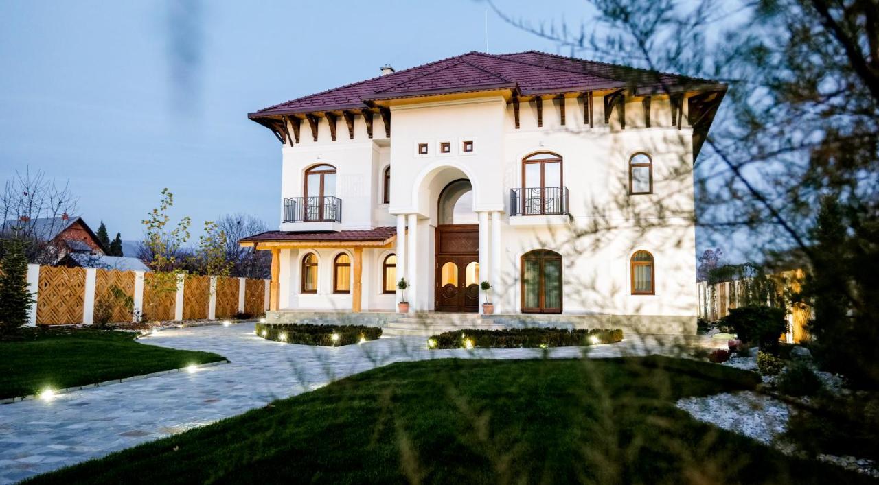 Bed and Breakfast Conacul Olarilor Байя-де-Фьер Экстерьер фото