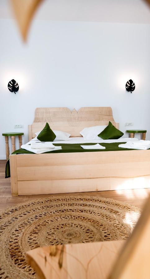 Bed and Breakfast Conacul Olarilor Байя-де-Фьер Экстерьер фото