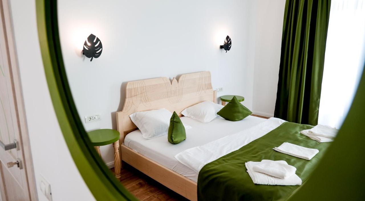 Bed and Breakfast Conacul Olarilor Байя-де-Фьер Экстерьер фото